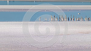 Salt pink lake surface close-up with blue water