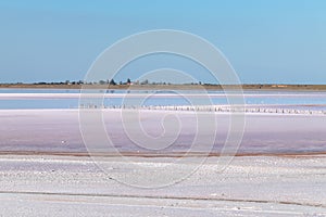 Salt pink lake surface under blue sunny sky