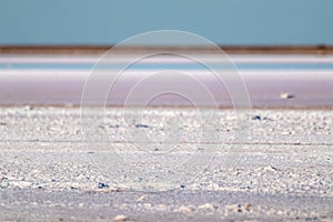 Salt pink lake surface under blue sunny sky