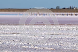 Salt pink lake surface under blue sunny sky