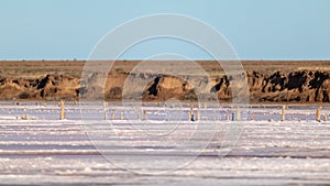 Salt pink lake surface under blue sunny sky