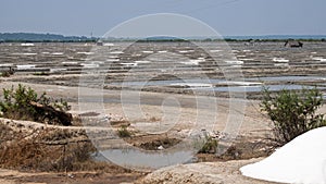 Salt plain in Tamil Nadu
