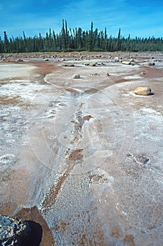 Salt Plains in the Remote North Woods