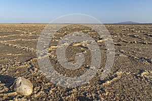 The salt plains of Asale Lake in the Danakil Depression in Ethiopia, Africa photo