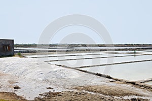 Salt plantations, Vietnam