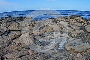 Salt Pool On Rocks