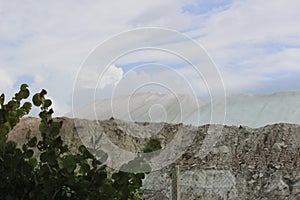 salt production on the field