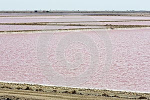 Salt production in France