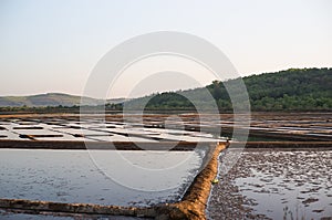 salt production in India