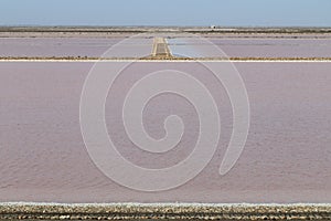 Salt production Mas des Crottes, Camargue in France