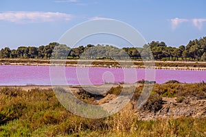 Salt production, pink lagoon and hills in the Mediterranean sea is located in Aigues-Mortes . Camargue, France. Hight