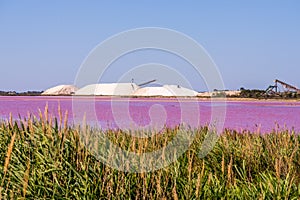 Salt production, pink lagoon and hills in the Mediterranean sea is located in Aigues-Mortes . Camargue, France. Hight