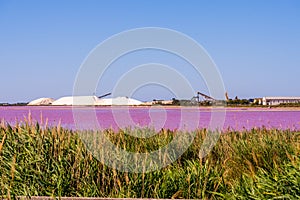 Salt production, pink lagoon and hills in the Mediterranean sea is located in Aigues-Mortes . Camargue, France. Hight