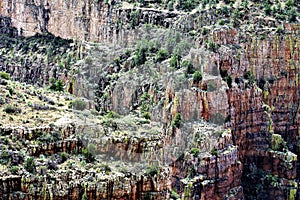 Salt River Canyon Wilderness Area, Tonto National Forest, Gila County, Arizona, United States