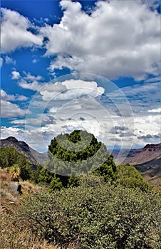 Salt River Canyon Wilderness Area, Tonto National Forest, Gila County, Arizona, United States