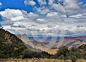 Salt River Canyon Wilderness Area, Tonto National Forest, Gila County, Arizona, United States