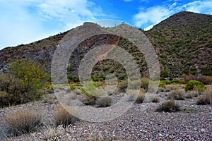 Salt River Recreation Area Arizona