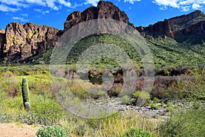 Salt River Recreation Area Arizona