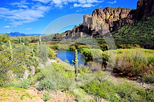 Salt River Recreation Area Arizona photo