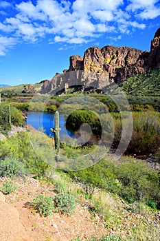 Salt River Recreation Area Arizona photo