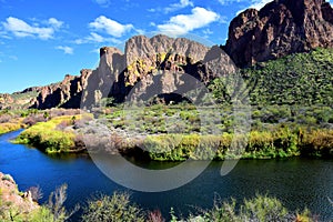 Salt River Recreation Area Arizona photo