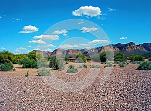 Salt River Recreation Area Arizona