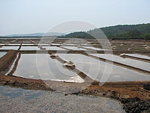 Salt salt extraction food industry India