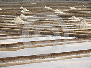 Salt salt extraction food industry India