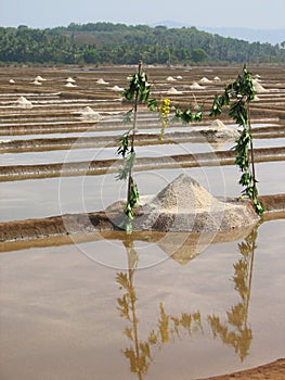 Salt salt extraction food industry India