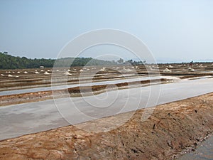 salt salt extraction food industry India