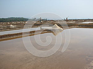 salt salt extraction food industry India