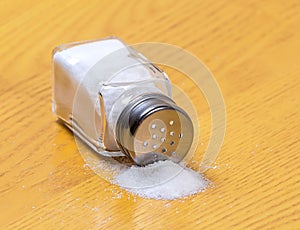 Salt Shaker