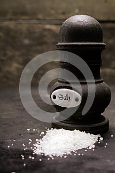 Salt shaker or grinder with coarse salt