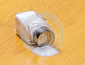 Salt Shaker
