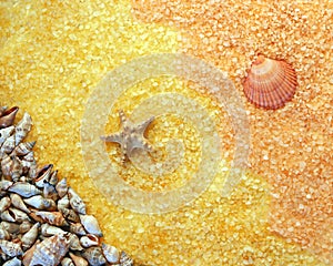 Salt and shell texture, starfish, spa and relaxation concept