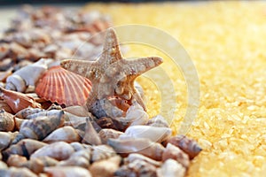 Salt and shell texture, starfish, spa and relaxation concept