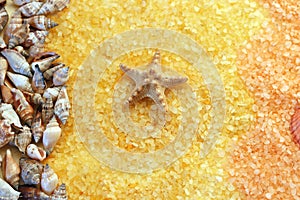 Salt and shell texture, starfish, spa and relaxation concept