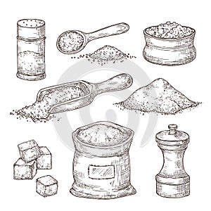 Salt sketch. Hand draw spice, vintage bowl spoon with sea salt powder. Food ingredients to cook, isolated pepper shaker