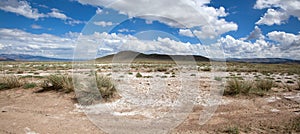 Salt steppe photo