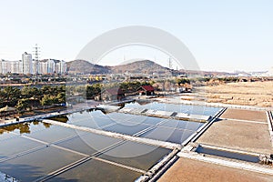 Salt storage in korea
