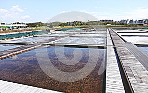 Salt storage in korea