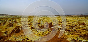 Salt structure close-up inside Dallol volcanic crater in Danakil depression, Afar, Ethiopia