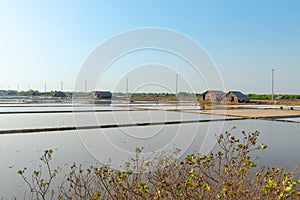 Salt village, early morning at salt field in Ly Nhon, Can gio