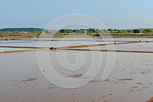 Salt village, early morning at salt field in Ly Nhon, Can gio