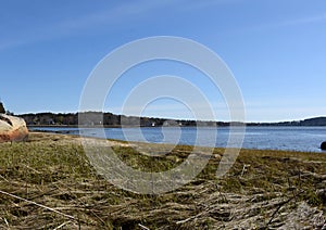 Salt Water Marsh Along the Bay and Coastline