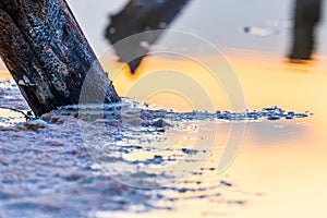 Salt on wooden log in water salt lake. Salt Lake Baskunchak, Russia