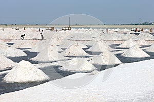 Salt works, Sambhar salt lake, Rajasthan, India photo