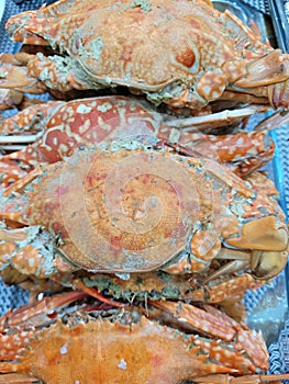 Salted Crabs a Favorite Seafood Menu in Philippines