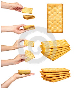 Salted cracker, fast food snack, set and collection