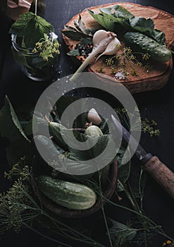 Salted cucumbers. Spices and herbs for making pickles. The top view of the wooden background